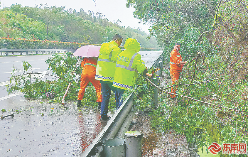 22日,莆田高速执法人员在秀永高速清理倒伏树木