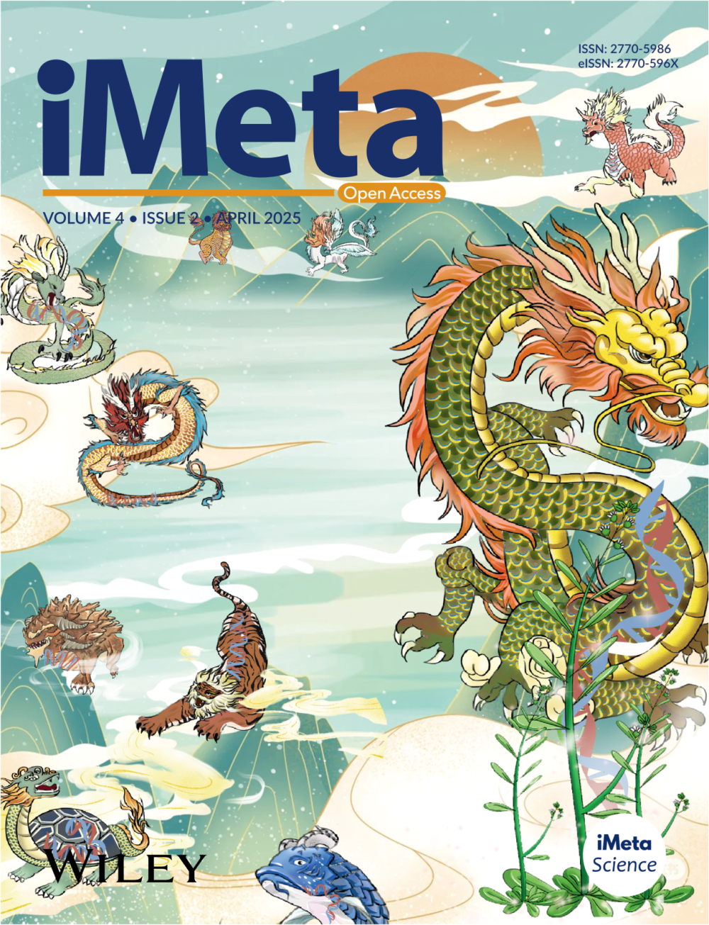 透化治疗什么iMeta ｜ 中国药科大学顾丰组-解析黄葵治疗糖尿病肾病机制_https://www.jmylbn.com_新闻资讯_第26张