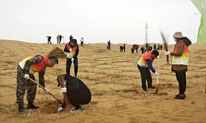 阿拉善提前超额完成今年全民义务植树任务