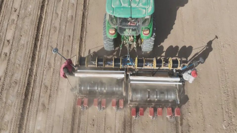 花海镇:1.3万亩棉花播种正当时