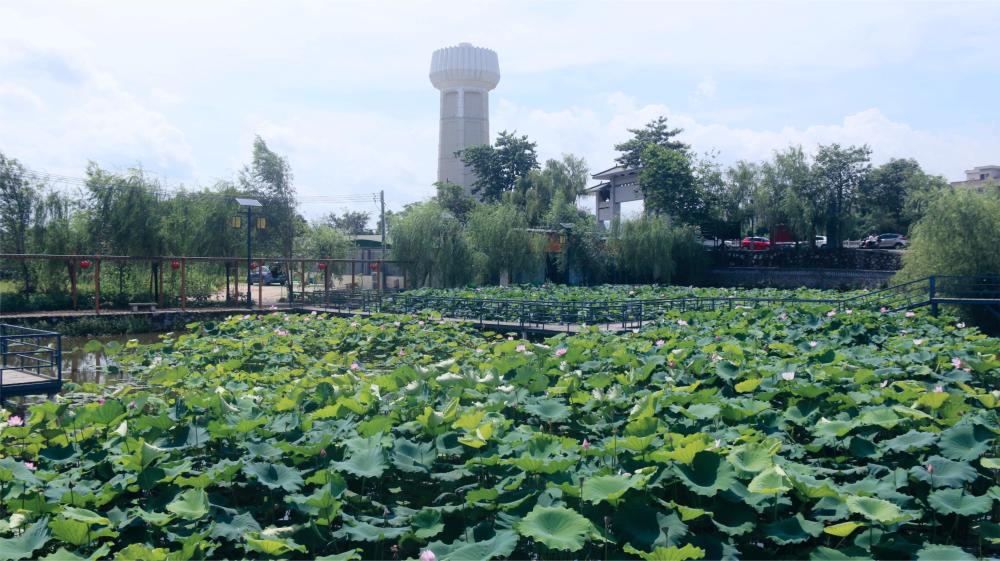 清远汤塘镇:以"四大提质行动"引领高质量发展