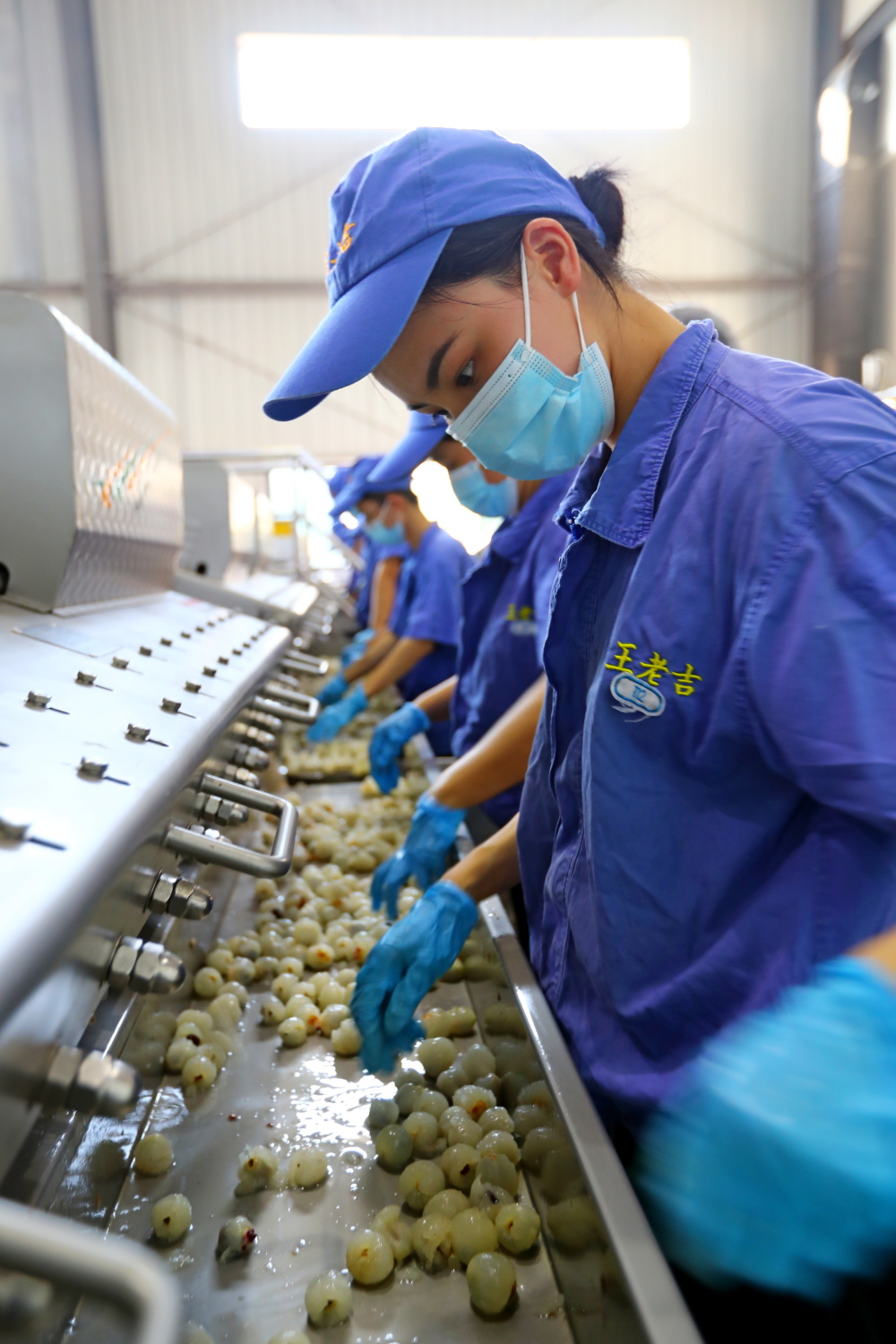 高质量发展调研行广东茂名精深加工促进荔枝产业高质量发展