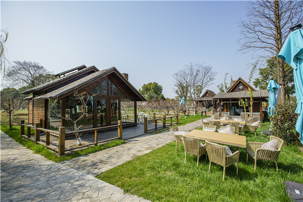 当人们还沉浸在网红餐吧"苏小花",唯美食府"初莲"的浪漫氛围中时,震泽