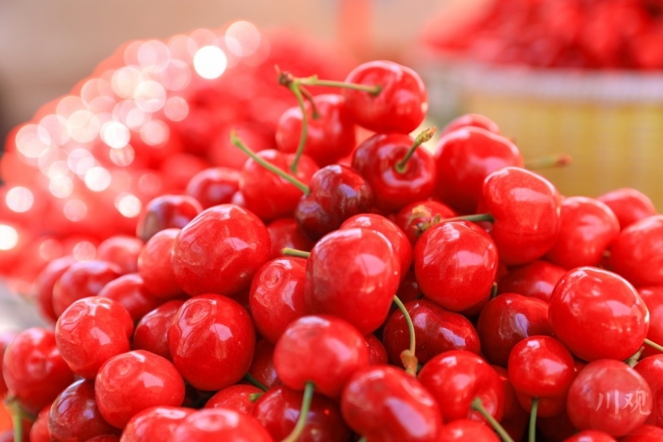 汉源甜樱桃季遇降水,怎样让"甜"更"值得"?