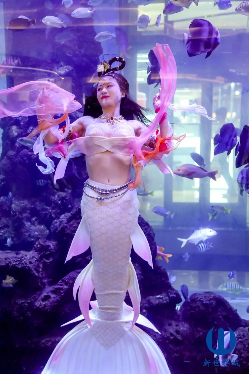 "美人鱼"大赛引围观