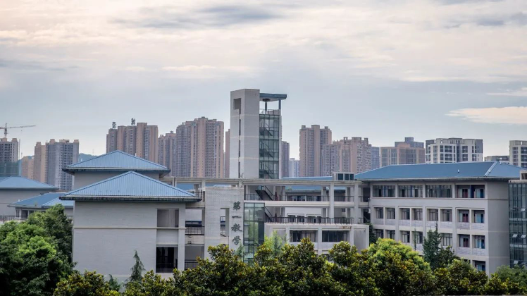 重庆大学后门沙杨路图片