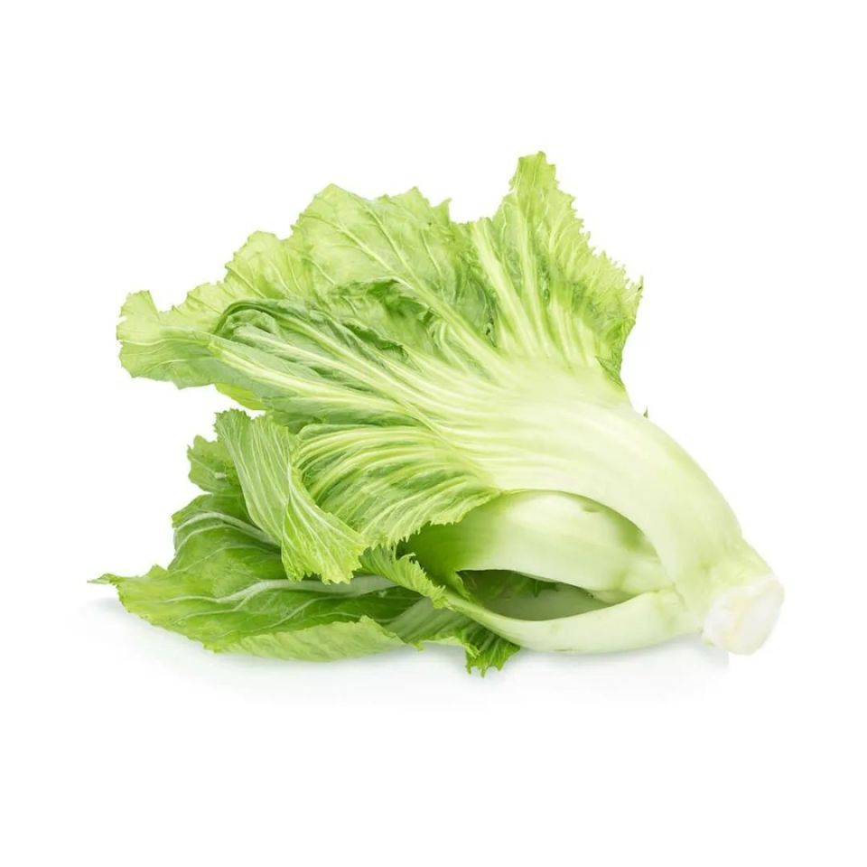 万物有灵 | 百变菜根情悠长——芥菜