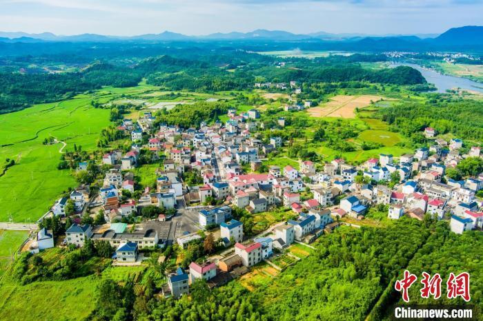 (乡村行·看振兴)江西德兴:民族村变身旅游"新地标"  村美民富产业兴