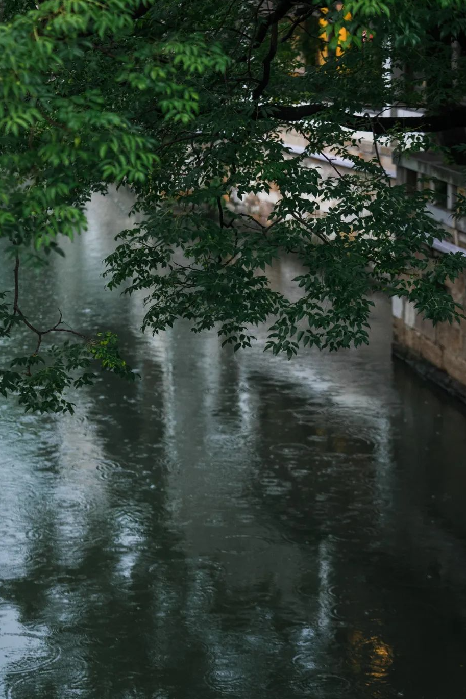 雨中的江南图片大全图片