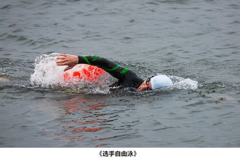 杨舒淇=杨舒淇个人简历