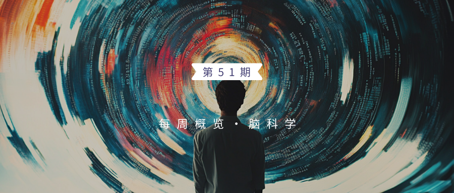 star是什么手术追问weekly ｜ 过去一周，脑科学领域有哪些新发现？ Vol.51-上海聚慕医疗器械有限公司