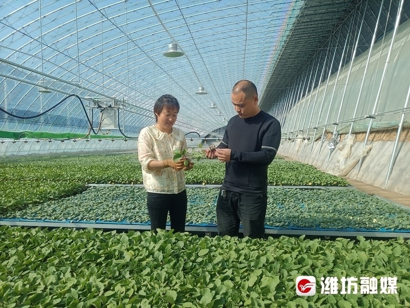 "潍坊日报社全媒体记者: 孙希明/文图