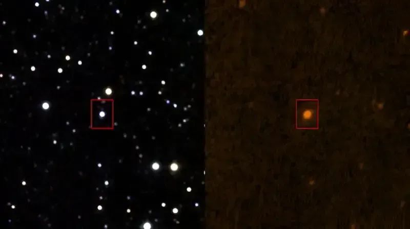 "塔比星"的红外(左)和紫外(右)照片.