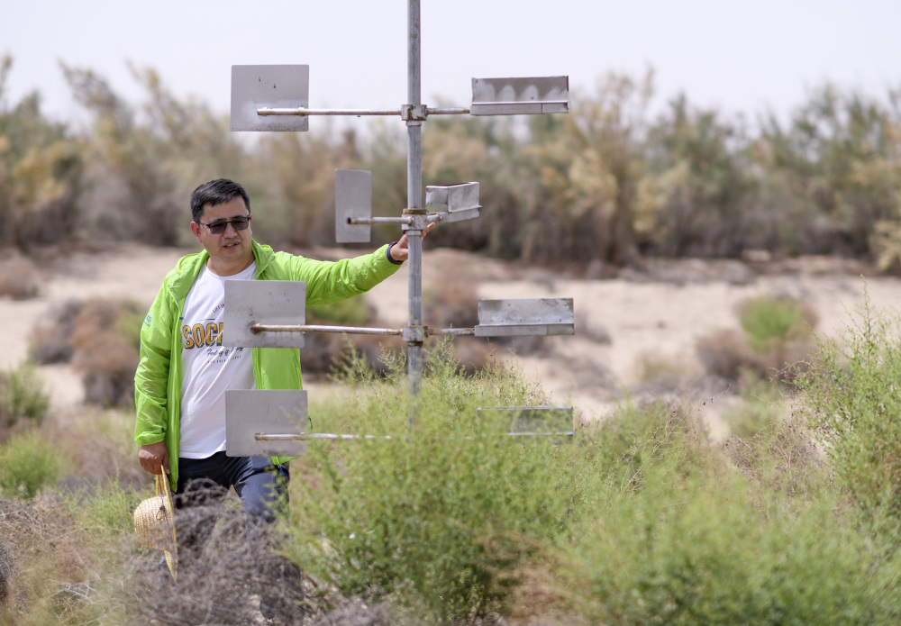 (图片故事)买尔当·克依木:为沙漠增添新绿