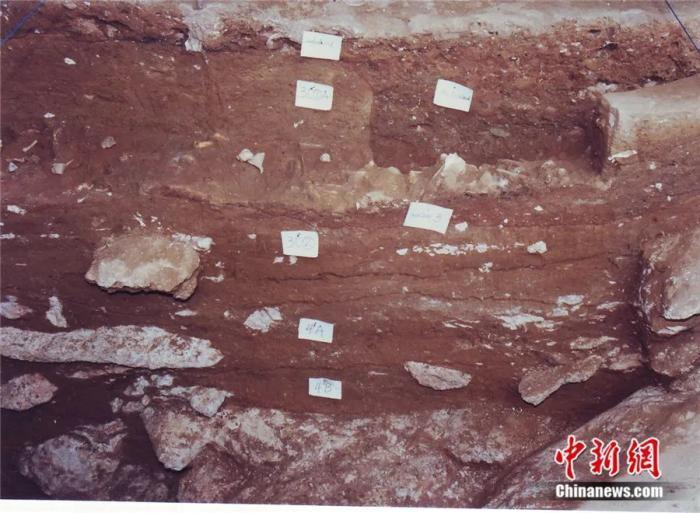 东西问丨考古学家彭适凡：为什么说江西仙人洞与吊桶环遗址实证水稻万年