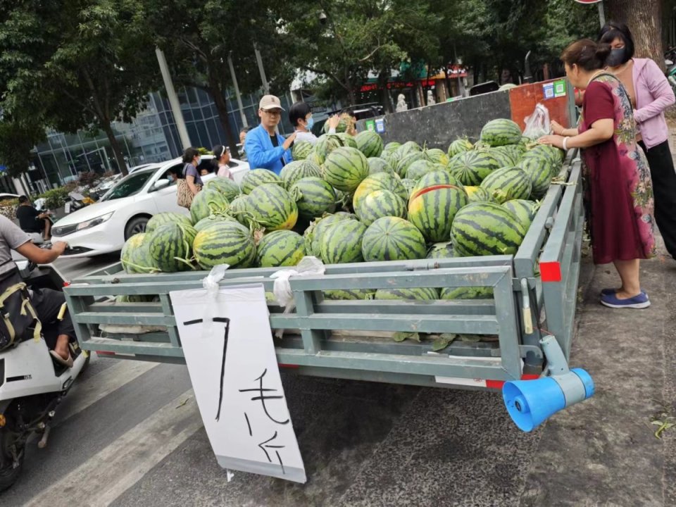 "郑州市场西瓜量大价落