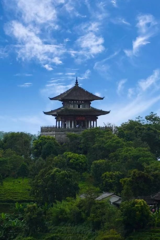 【普洱文旅】在绿意盎然的普洱 吹自由的风