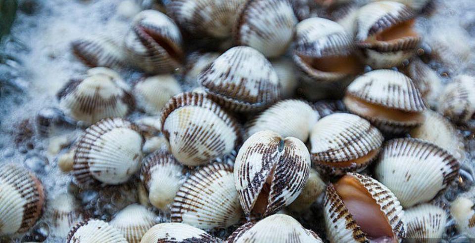 青岛海鲜市场迎来小海鲜丰收季 贝类海产销量激增