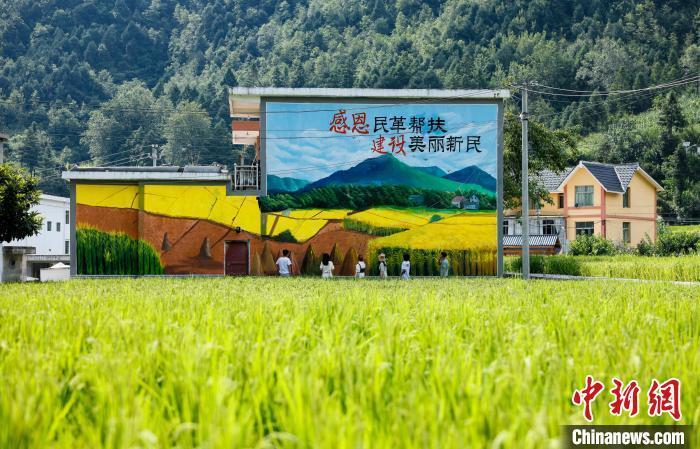 贵州纳雍:闲置村居变身"网红民宿" 山村增"颜"提"质"引客来_腾讯新闻