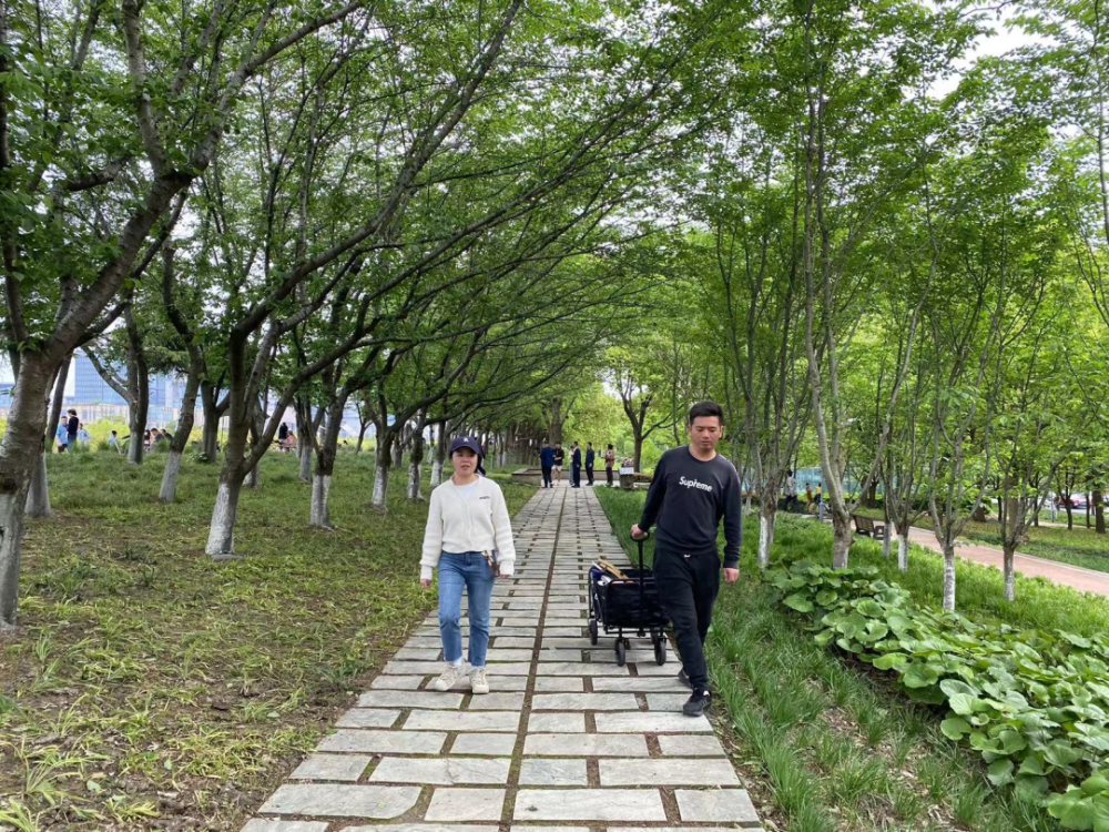 园区准备启动,还可躺在大绿坡上……来看"一半田园一半城"的惬意浦锦