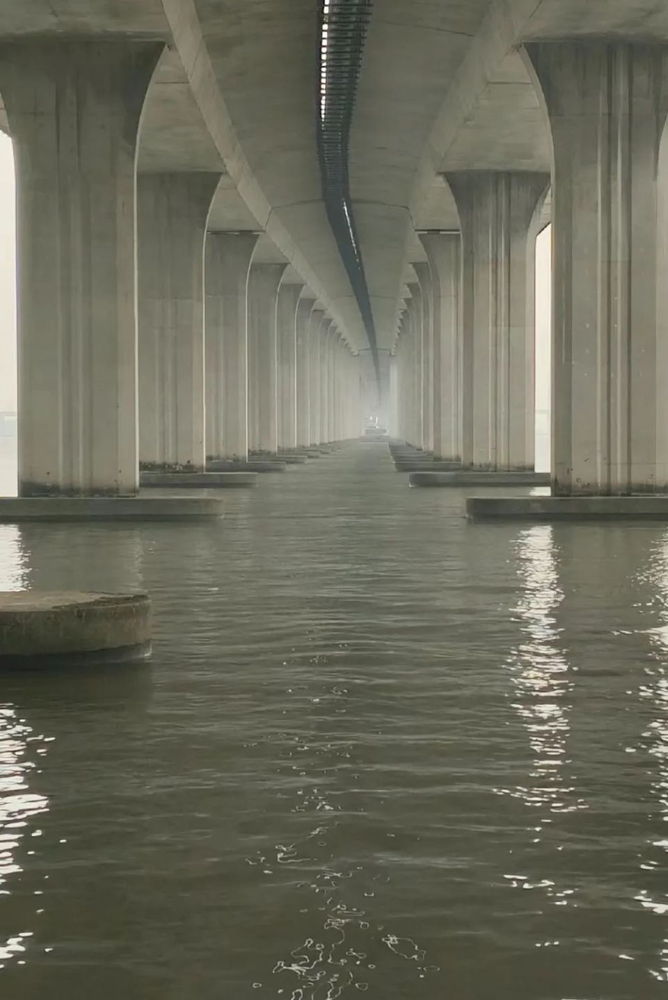 岛屿,广州独一份的疏离感