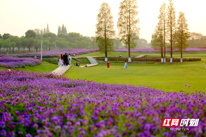 城头山景区一隅.