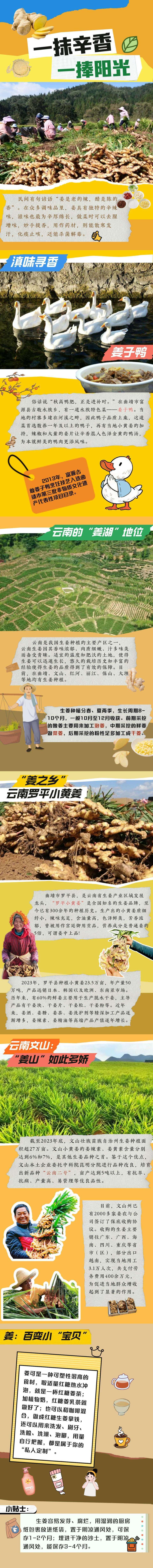 [南方生姜网-图片加载]