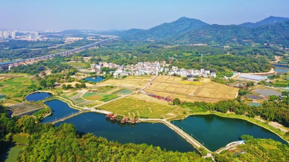 “网红村”再添头衔，迳下乡村旅游景区获评国家3A级旅游景区_腾讯新闻