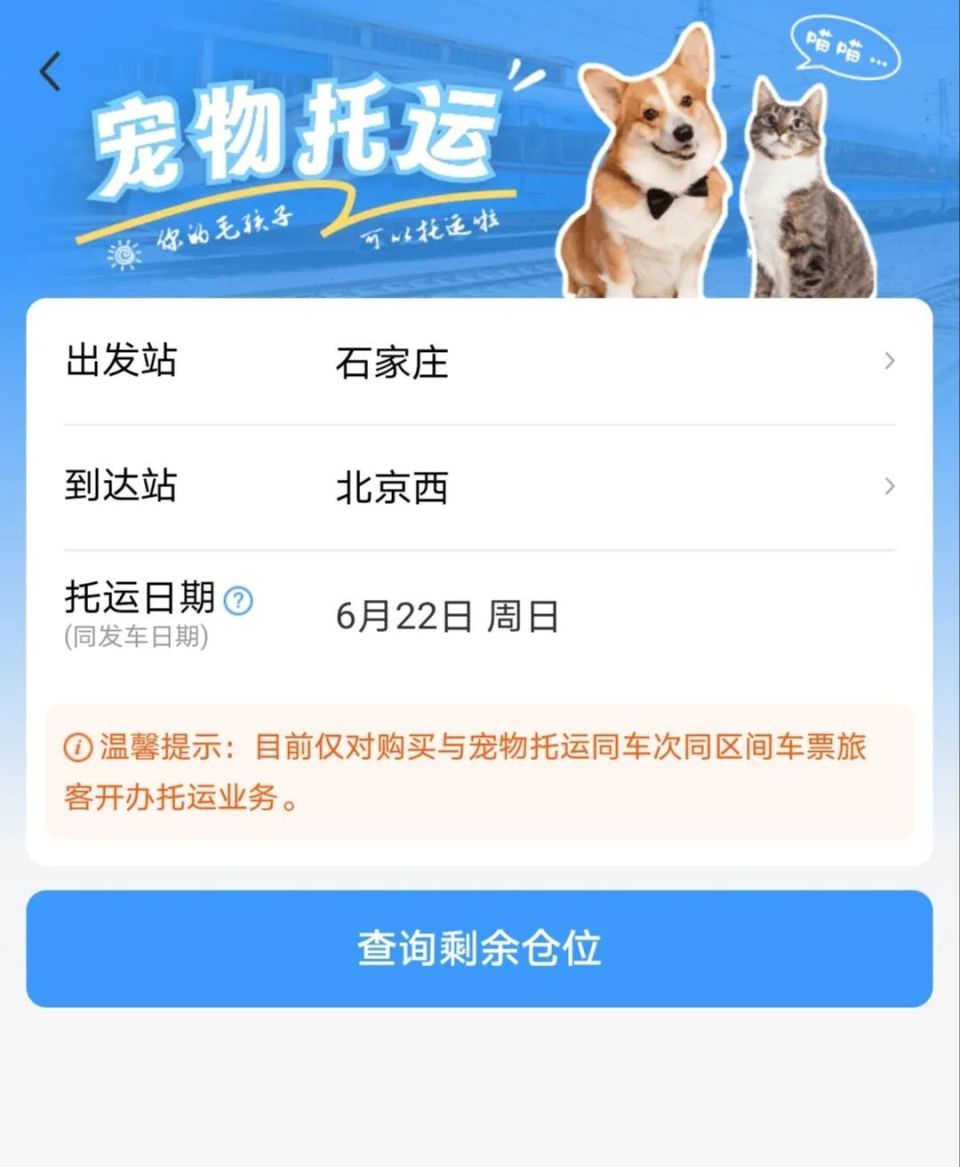 宠物旅客也有安心之旅