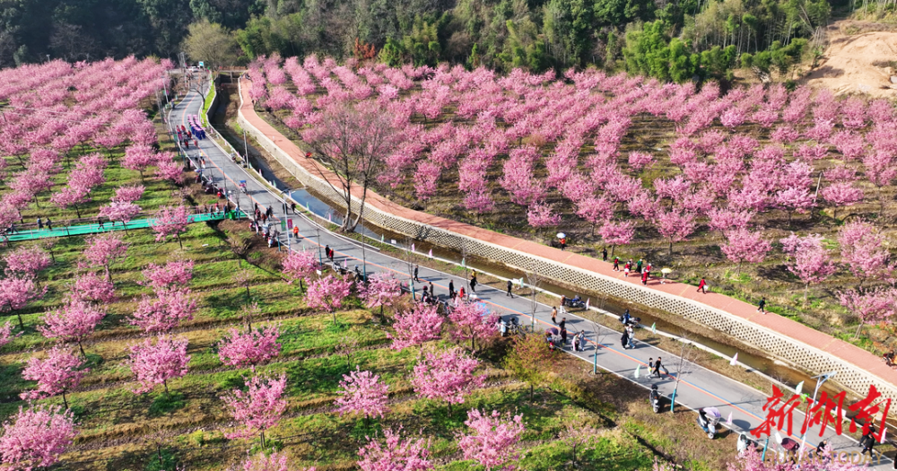 云溪双花村图片