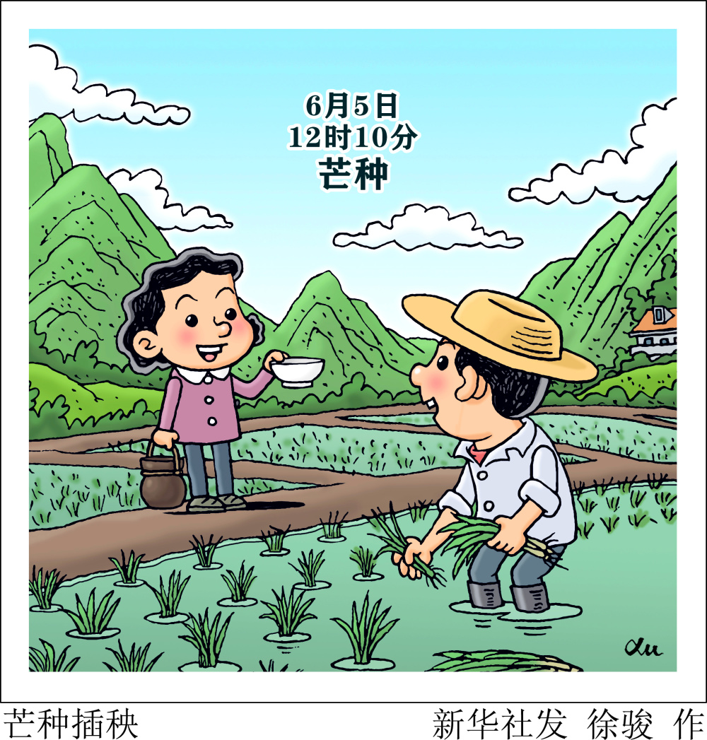 节令之美·芒种|芒种插秧