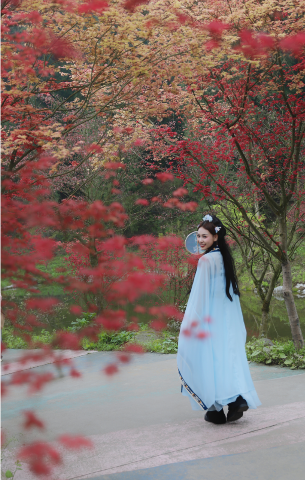 最美四月天,春日红枫俏!汉服小姐姐邀你共赏这场"汉服红枫行"!
