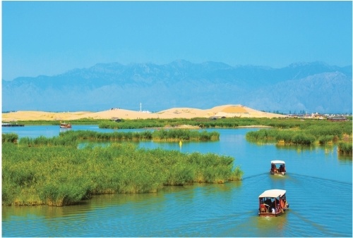 以高质量发展建设现代化美丽新宁夏