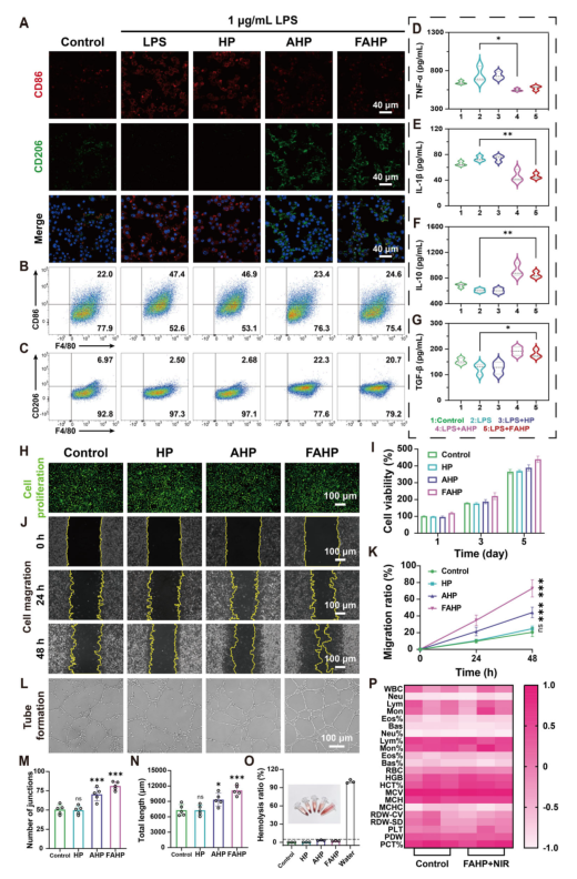 抗菌敷料有哪些西安交大AM：新型自进化水凝胶敷料，为感染性糖尿病伤口愈合提供时空精准调控新策略_https://www.jmylbn.com_新闻资讯_第7张
