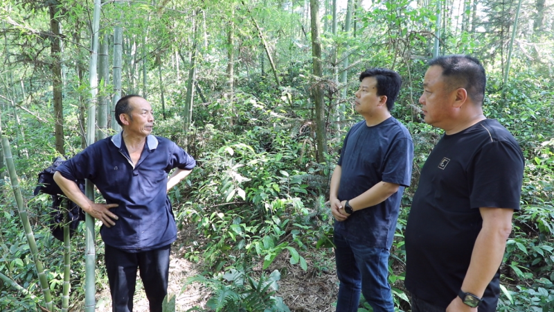 工作人员与农户深入交流  张瑜 摄武潭镇也是本次蝗虫集中产卵重灾区