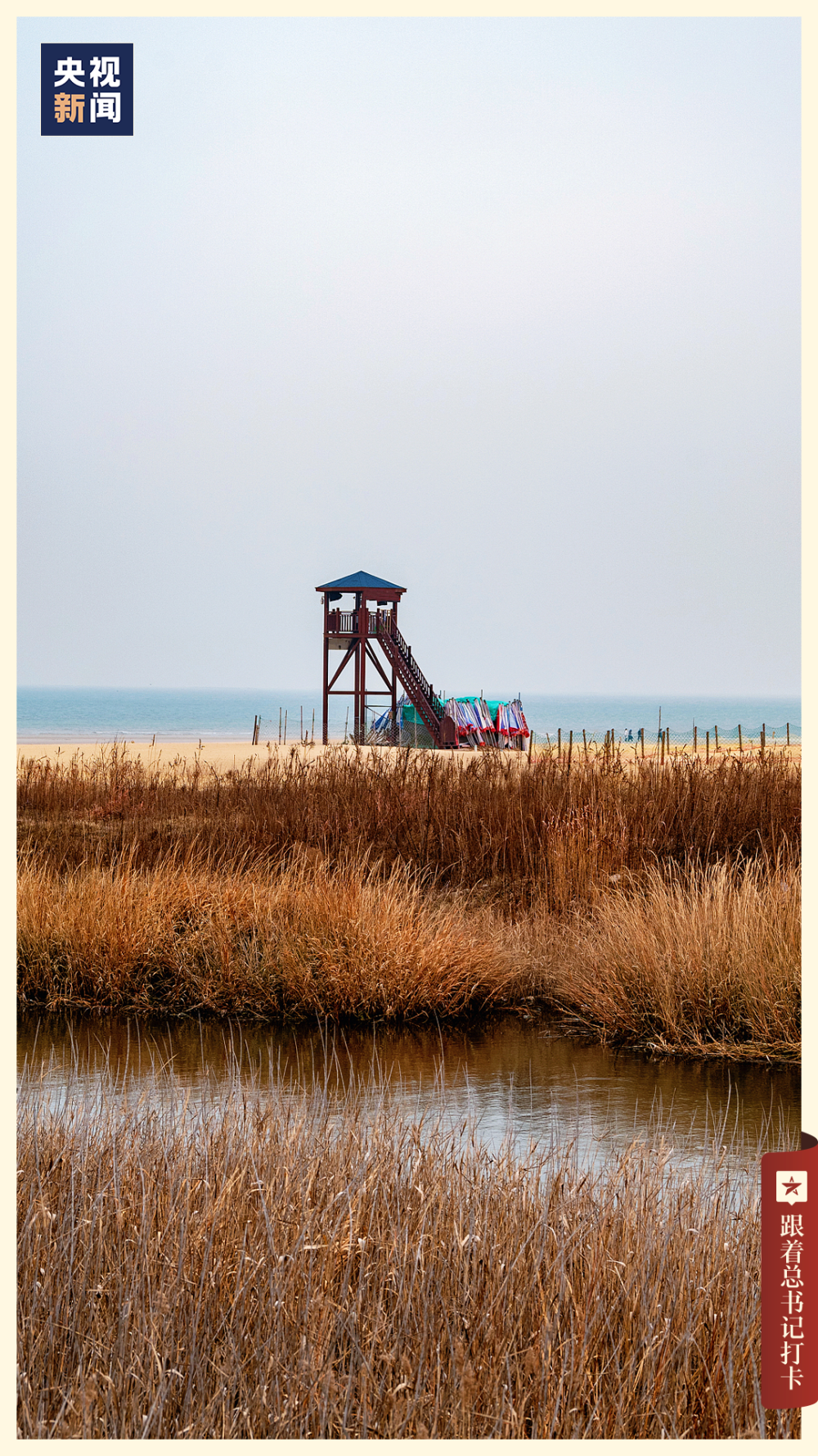 奖"的美誉这里是山东最年轻的地级市日照一起走进这座宝藏城市01看海