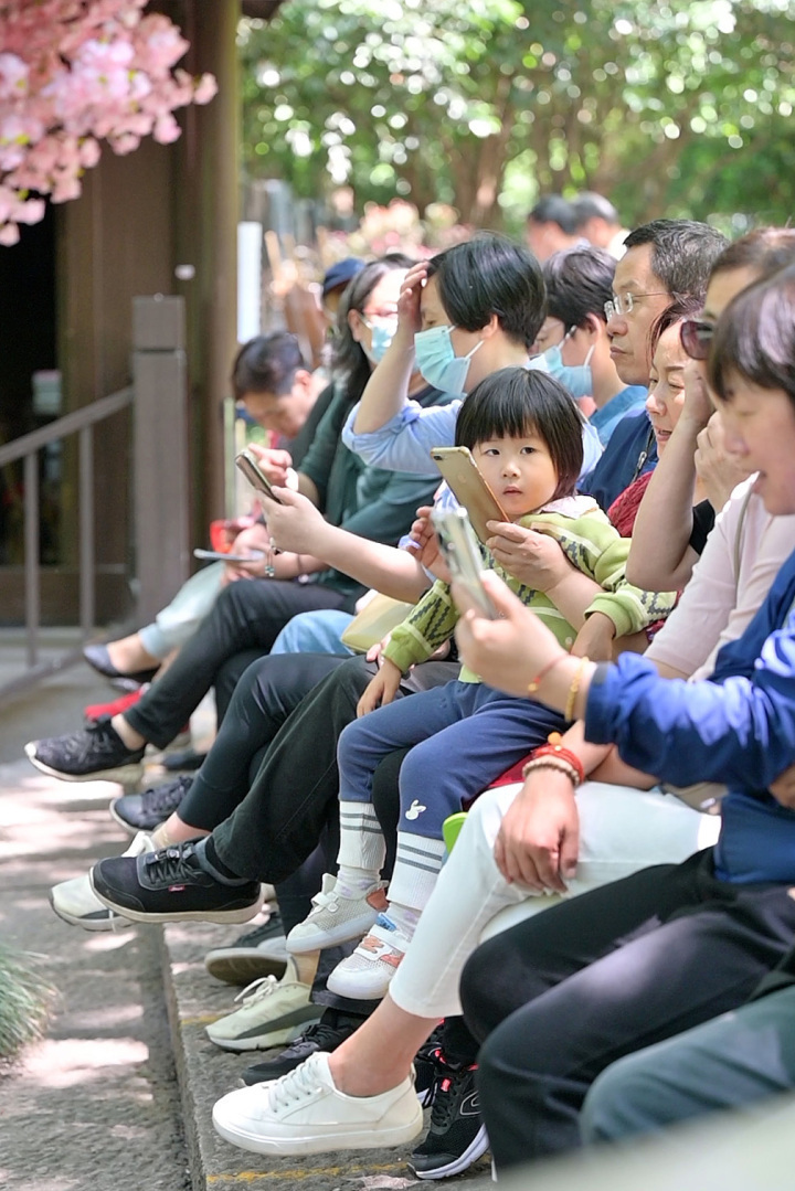 公交船行驶在东河上."转载请注明出处"