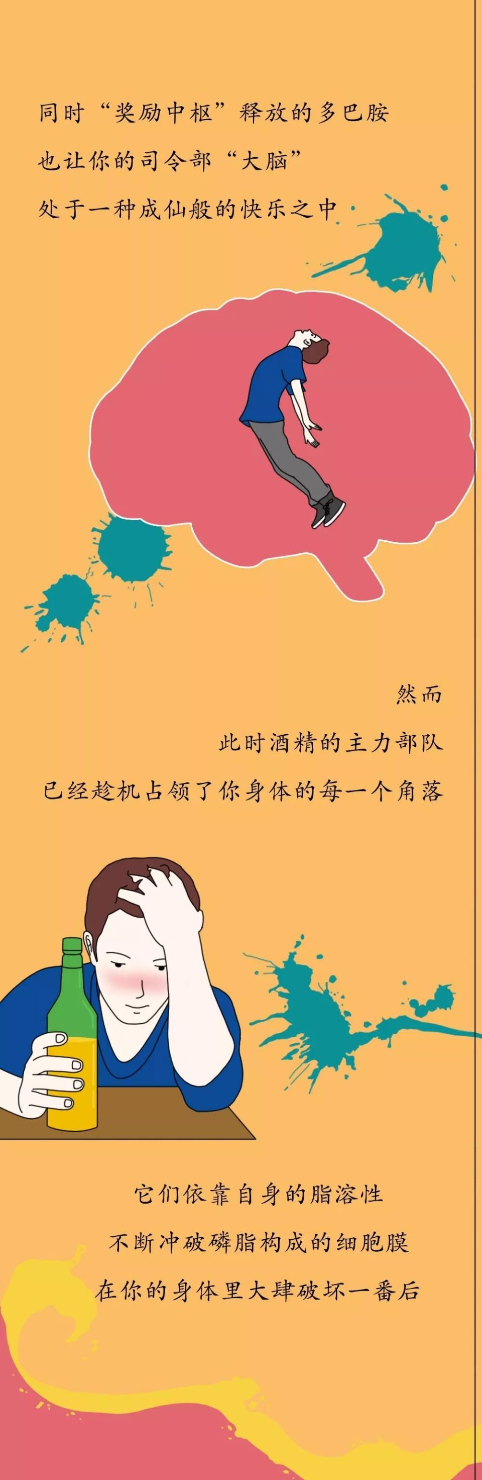 酒精进入体内的24小时,告诉你为什么劝你戒酒