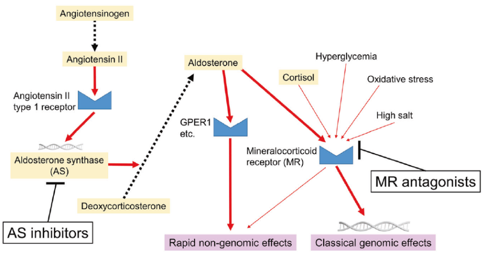 abpm血压怎么看全球高血压用药史转折点：40年首个新靶点药物III期成功_https://www.jmylbn.com_新闻资讯_第23张