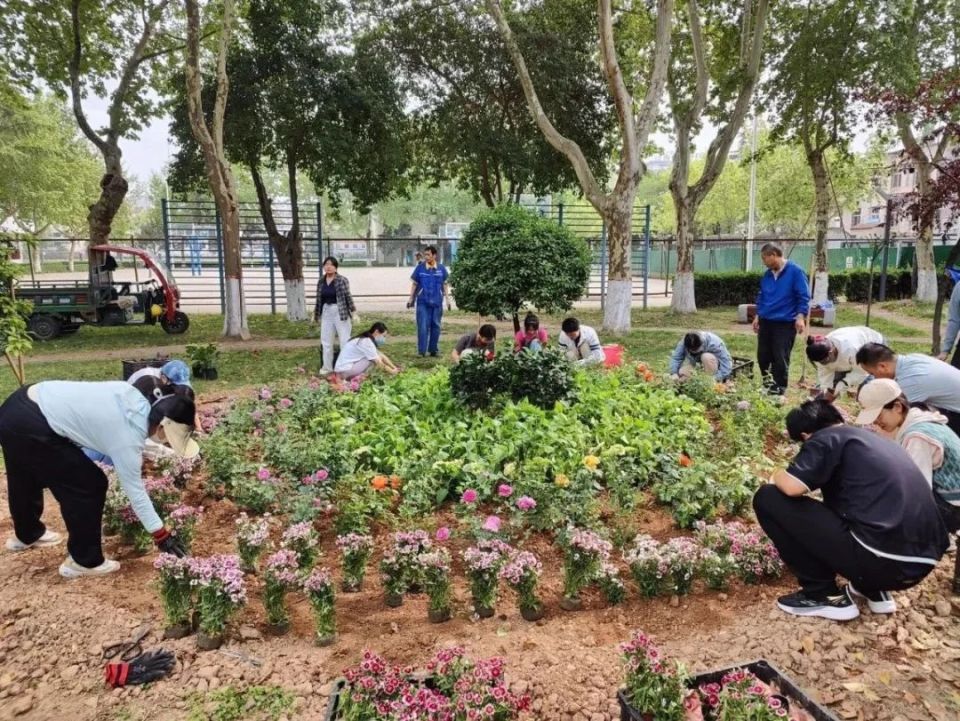 花卉种植课西安交通大学花花草草归我管校园绿化我助力01(但是抢不到o