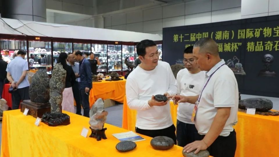 汇集奇石精品 共赴赏石之约