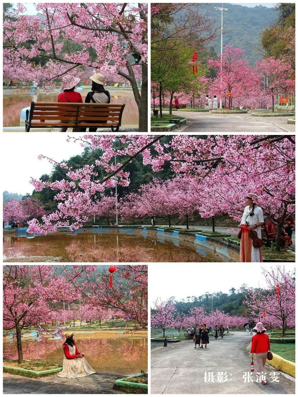67广州花朝节,我把花都写进诗篇