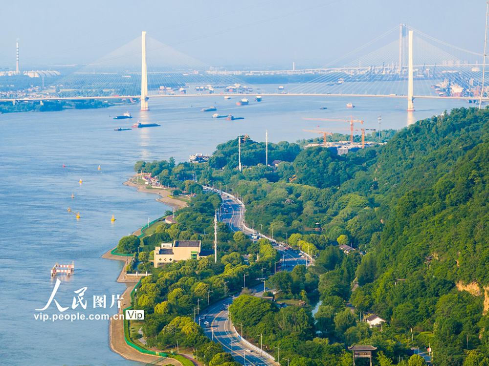 江苏南京:长江岸线生态如画