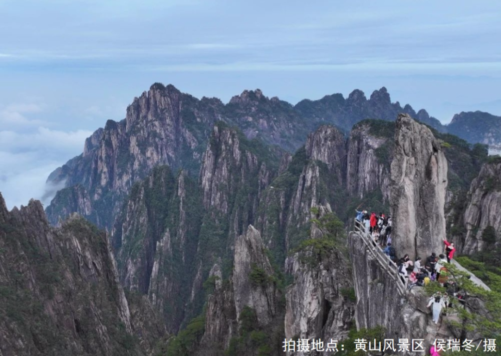 【早安,黄山】凌云赴祁门县调研 ‖ 全市首例机器人辅助膝关节单髁