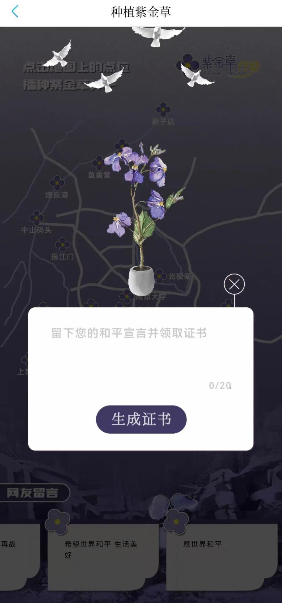 紫金草行动图片