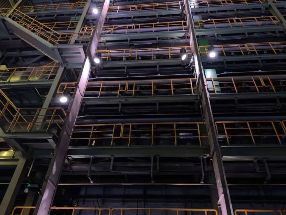 车间不开灯高效生产,梅花鹿,孔雀居然栖息在厂房边?