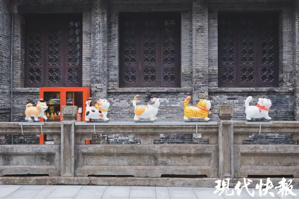 读城｜大“喵”弄！常州千年城隍巷成了“喵星人乐园”_腾讯新闻