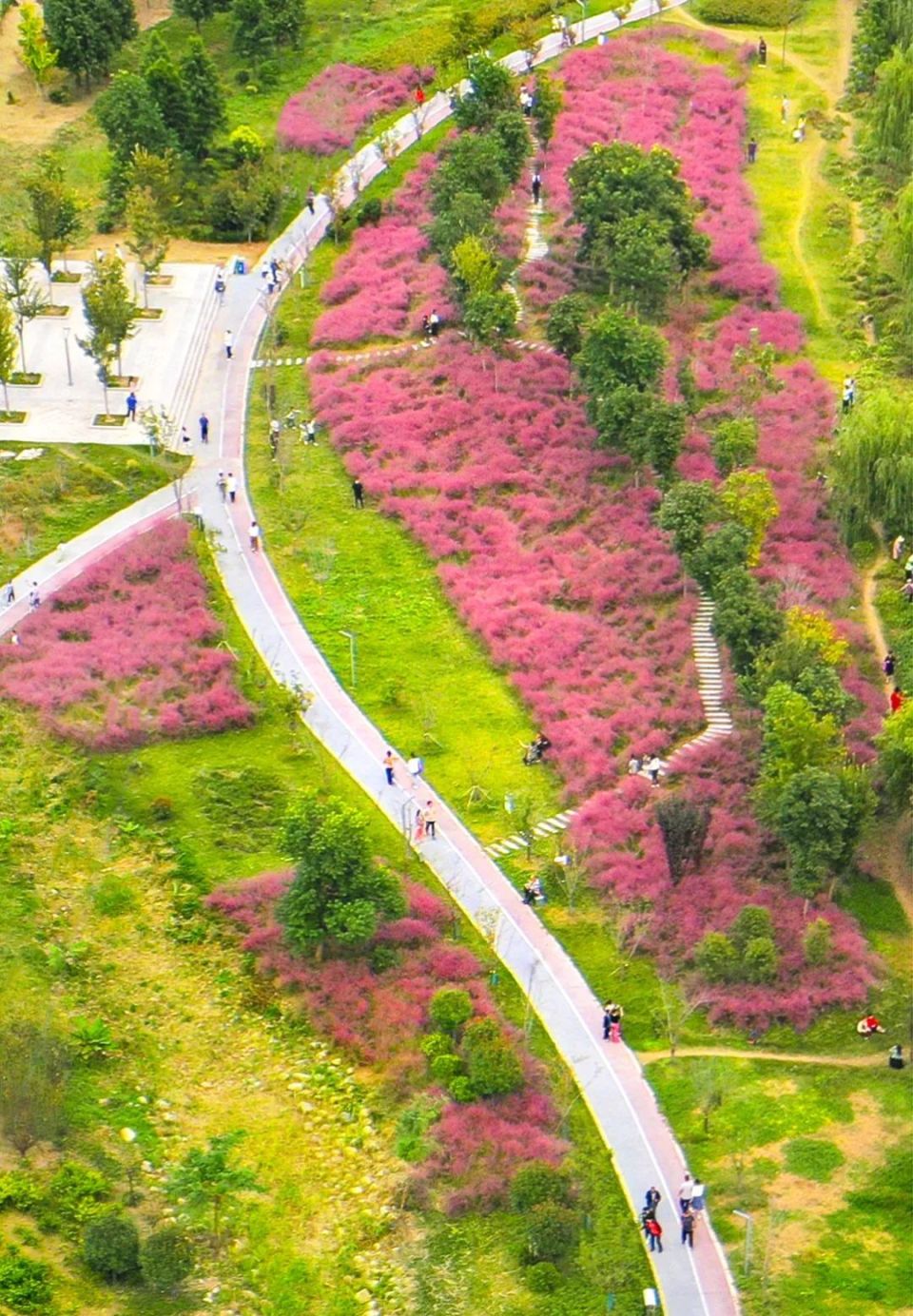 《公园小景》秦芳▲《小城秋色》秦艳▲《乡村美景》陆卫敏▲《睢宁