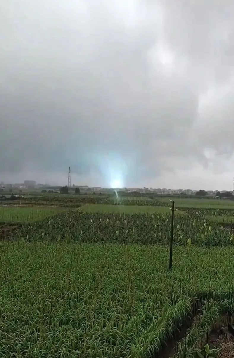 今早广州南沙突发龙卷风!多图直击