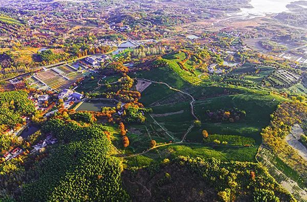身边的世外桃源!国字号官宣长三角"村"游线路